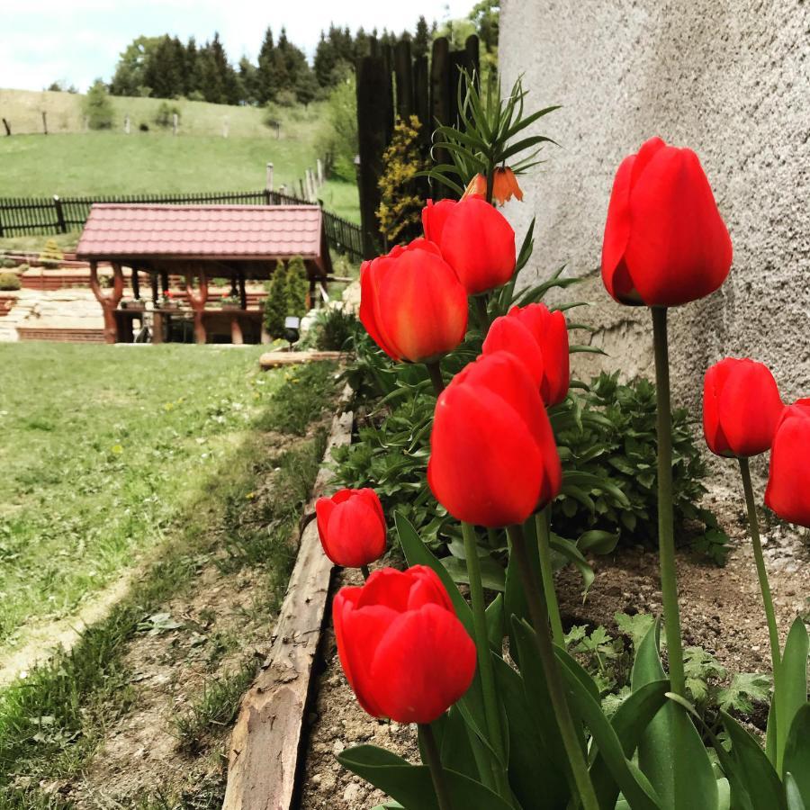 Jedlicka Апартаменти *